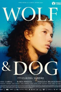 Волк и пёс (2022)